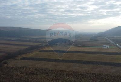 Teren Construcții intravilan de 9000 mp, în Gilău - 14