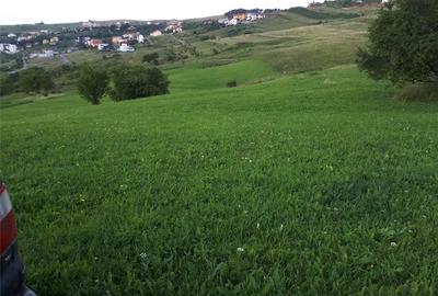Teren de 4039 mp, în Borhanci - 2