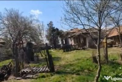 Teren de 1200 mp, în Vieru