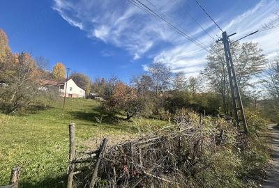 Teren de 1200 mp, în Provița de Sus