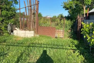 Casă cu 3 camere cu Teren 1000 Mp în Chiscani - 8