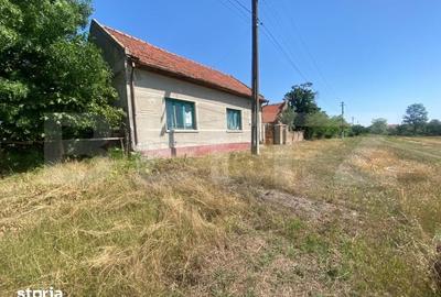 Teren de 7000 mp, în Chevereșu Mare - 8