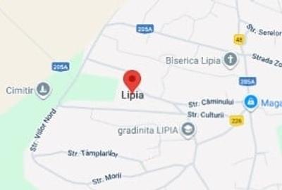 Casă individuală cu 2 camere cu Teren 81 Mp în Lipia