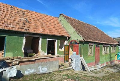 Casă cu Teren 1565 Mp în Sângătin - 3