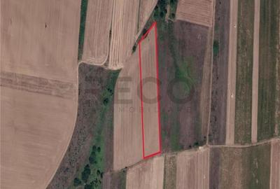 Teren Construcții intravilan de 7251 mp, în Uileacu de Munte - 3