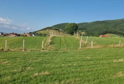 Teren de 5000 mp, în Gura Râului - 5