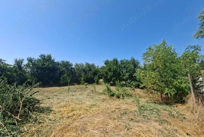 Casă cu Teren 1850 Mp în Colceag - 2