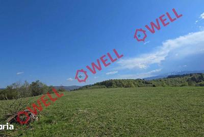 Teren de 2702 mp, în Vama Buzăului - 13