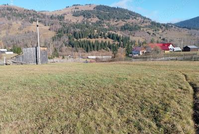 Teren de 6529 mp, în Valea Stânei - 7