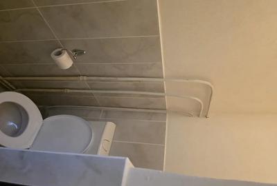 Spațiu comercial, de 70 mp, în P-ța Unirii - 2