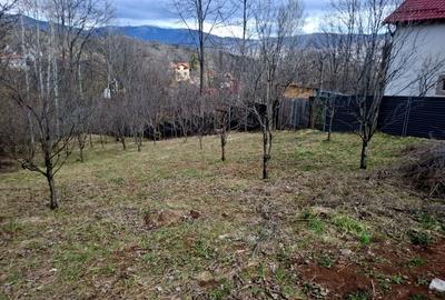 Teren de 900 mp, în Mogoșoaia - 8