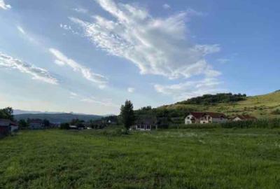 Teren de 5000 mp, în Mărăcineanu