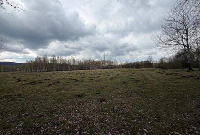 Teren de 15000 mp, în Izvoru - 2