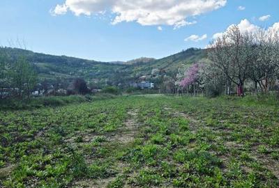 Teren de 2000 mp, în Central - 3