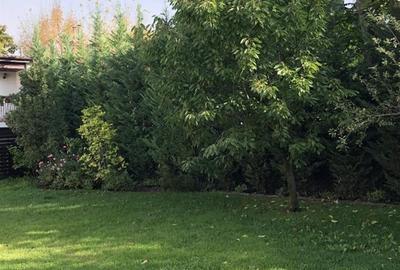 Casă individuală cu 6 camere cu Canalizare în Bucureștii Noi
