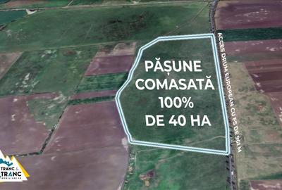 Teren agricol de 400800 mp, în Central - 2