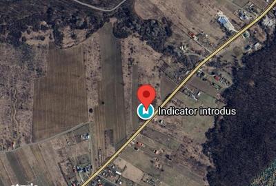 Teren de 15000 mp, în Schitu Duca - 3