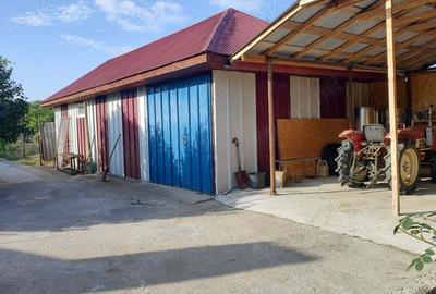 Casă cu 2 camere în Zimnicea - 5