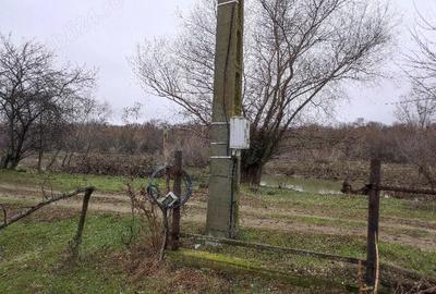 Teren de 8140 mp, în Băltenii de Jos - 5