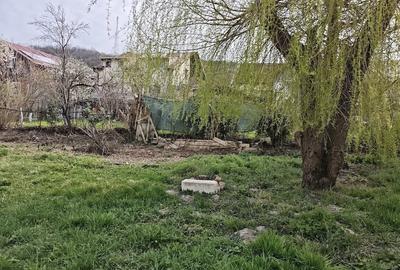 Casă cu 4 camere cu Teren 1000 Mp în Exterior Vest - 3