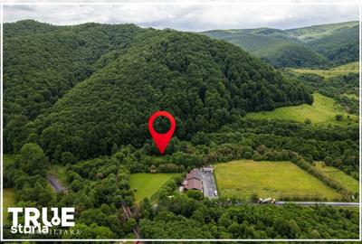 Teren de 2800 mp, în Eremitu - 3