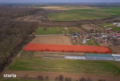 Teren de 3083 mp, în Gruiu - 2