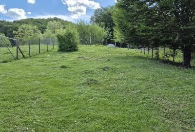 Teren de 977 mp, în Podul Corbului - 5