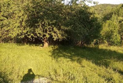 Teren de 864 mp, în Gurguiata - 7