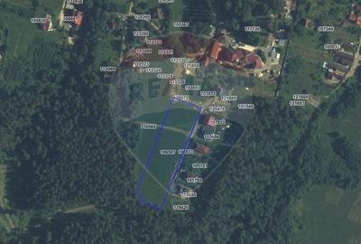 Teren Construcții intravilan de 6000 mp, în Poiana Angelescu - 4