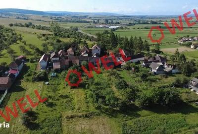 Casă cu 3 camere în Căpeni