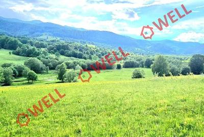 Teren de 9289 mp, în Vama Buzăului - 7