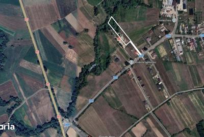 Teren de 2260 mp, în Dumbrăvița - 1