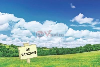 Teren în Vânători