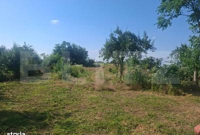 Casă cu 2 camere în Mogoșești - 5