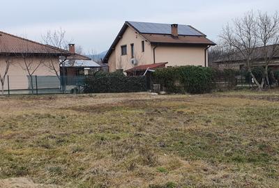 Teren intravilan de 878 mp, în Tăuții-Măgherăuș - 7