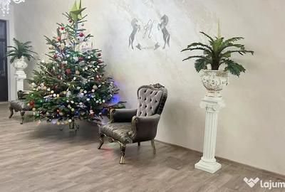 Spațiu comercial, de 917 mp, în Pechea - 5