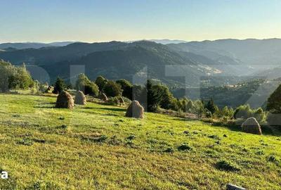 Teren de 17278 mp, în Horea - 1