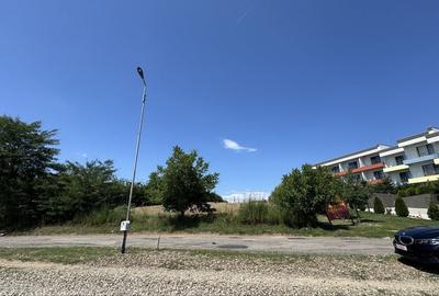Spațiu comercial, în Tâncăbești