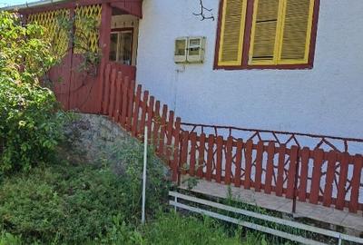 Casă individuală cu 4 camere cu Teren 4000 Mp în Zimbor - 3