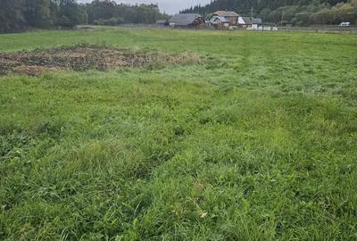 Teren de 5908 mp, în Poiana Stampei - 1