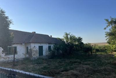 Casă cu 3 camere în Tariverde
