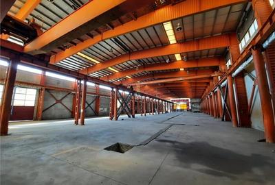 Spațiu industrial, de 2,000 mp, în Vest - 3