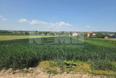 Teren agricol extravilan de 2600 mp, în Mitocu Dragomirnei - 8