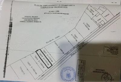 Teren în Timișu de Jos - 2