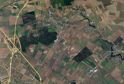 Teren de 4995 mp, în Dascălu
