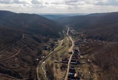 Teren de 302 mp, în Șoimoș - 7
