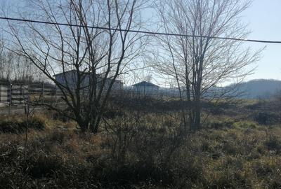Teren Construcții intravilan de 43136 mp, în Siliștea Snagovului - 5