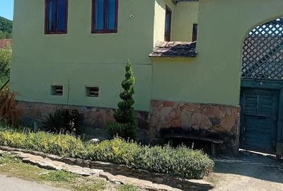 Casă cu Teren 1300 Mp în Amnaș