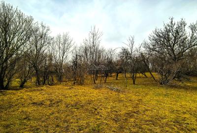 Teren agricol intravilan de 2623 mp, în Est - 5