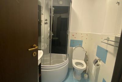 Apartament cu 2 camere semidecomandat, mobilat în Podu Roș - 6